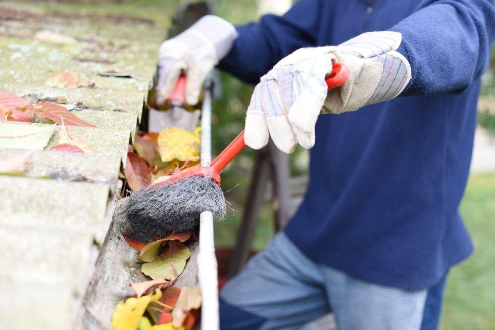 Contactleaves-eaves-cleaning-gutter-blocked-autumn