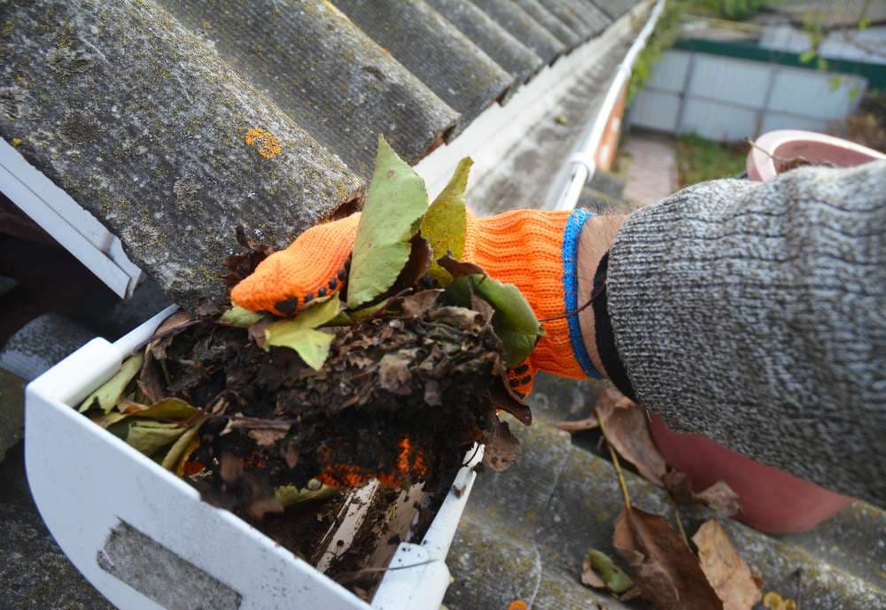 Gutter cleaning