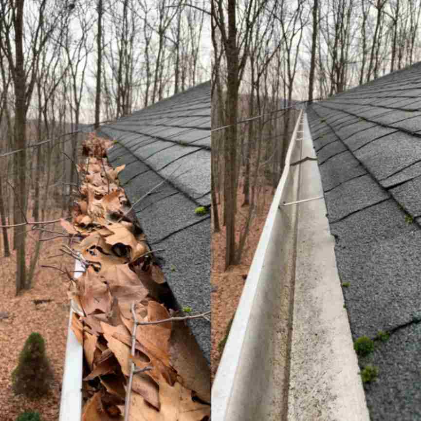 Seasons Gutter cleaning of leafs